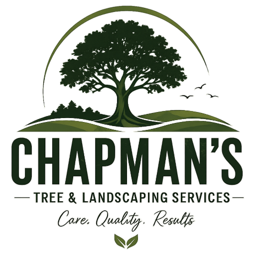 Chapmans Tree And Landscaping Services Logo Medium